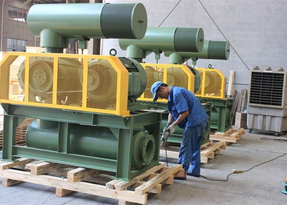 10インチ 80kpa 71.52m3/Min 132kw 鋳鉄 3 ロブ ルーツ ブローバー