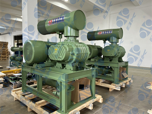 11kw 5.1m3/Min 60kpaは回転式丸い突出部の送風機1750 Rpm Dn65 3"を小さい容量定着させる