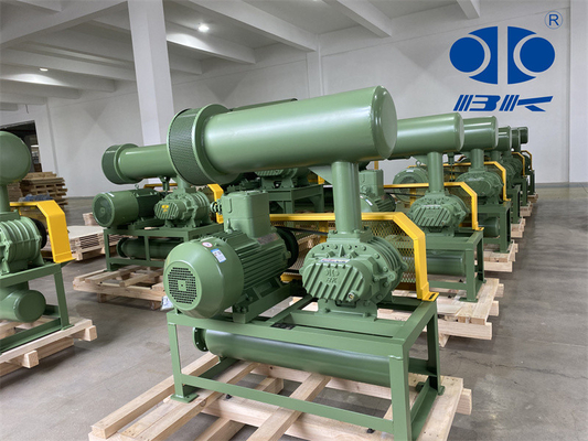 11kw 5.1m3/Min 60kpaは回転式丸い突出部の送風機1750 Rpm Dn65 3"を小さい容量定着させる