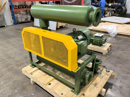 ルーツブローバー真空ポンプ BV10034モデル 入り口と出口の寸法 DN350