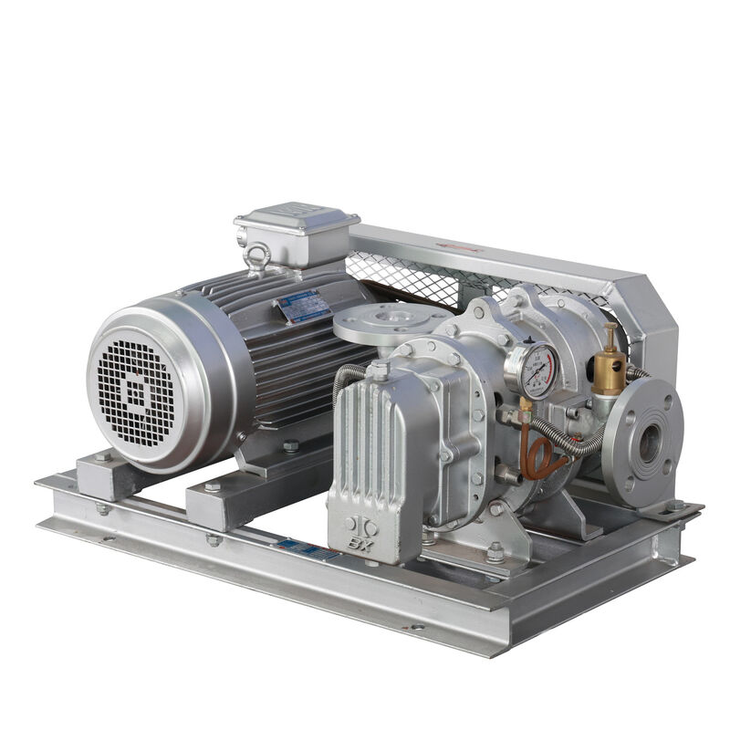 BX100 4インチ 3.18-11.74 m³/min 0.1-0.7 kgf/cm² BXシリーズ ステンレス鋼ルーツブロワ