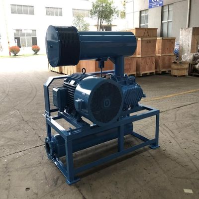 Areationの水冷の根の空気送風機BKW6005 60-100Kpaの長い生命